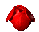 Rose1